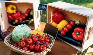 Farm Share Opportunity